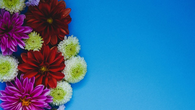 塔图姆：詹姆斯退役时的轰动会和乔丹一样，联盟需多人挑大梁